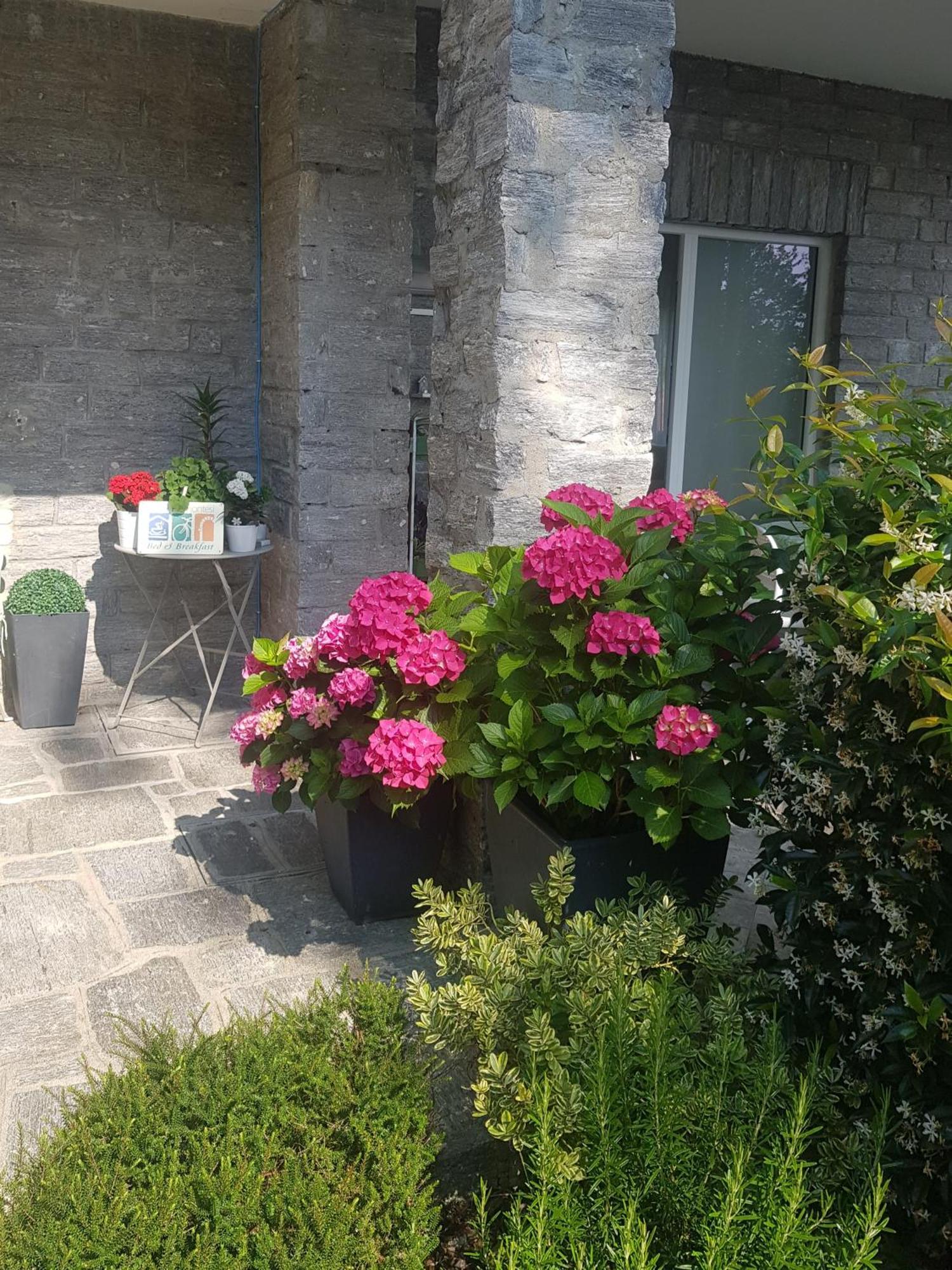 באוונו Ori Villa Oriana מראה חיצוני תמונה