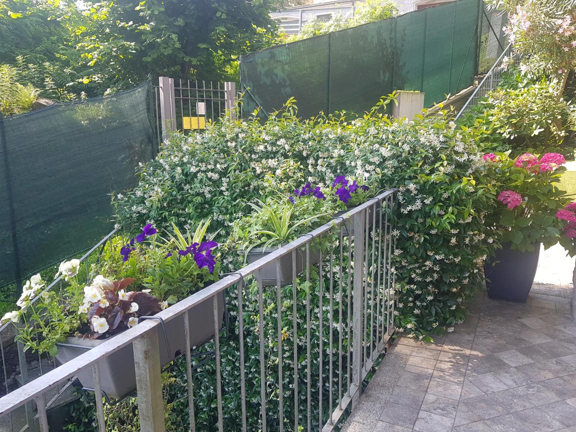 באוונו Ori Villa Oriana מראה חיצוני תמונה